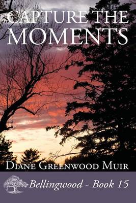 Cover of Capture the Moments