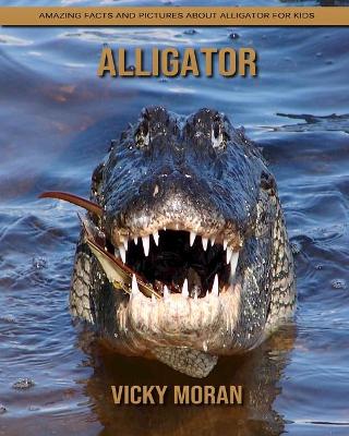 Book cover for Alligator