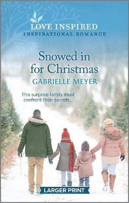 Book cover for Snowed in for Christmas