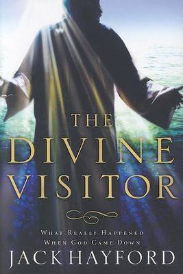 Book cover for The Divine Visitor