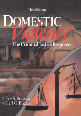 Book cover for Domestic Violence