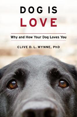 Book cover for Dog Is Love