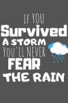 Book cover for If You Survived A Storm