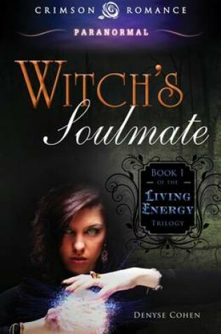 Cover of Witch S Soulmate