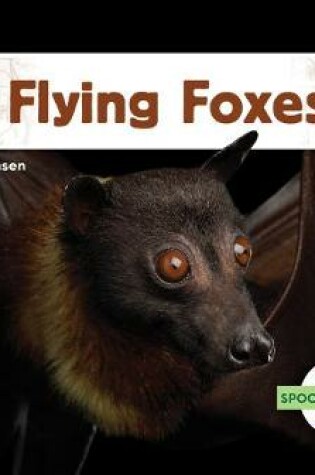 Cover of Flying Foxes