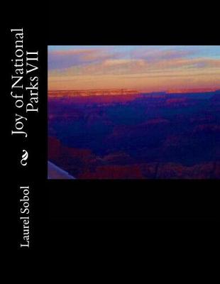 Book cover for Joy of National Parks VII
