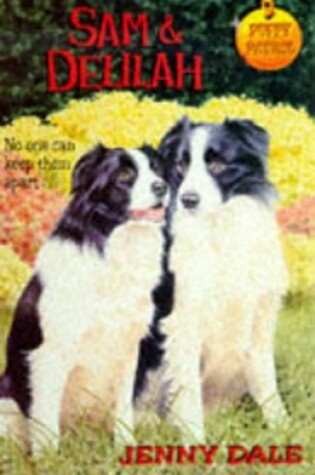 Cover of Sam and Delilah