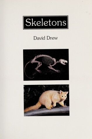 Book cover for Skeletons Is