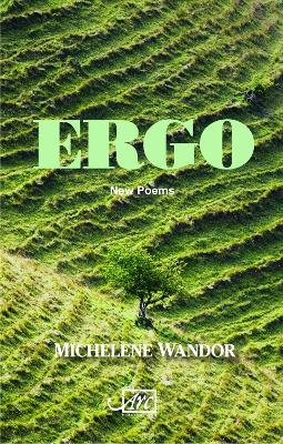 Book cover for Ergo