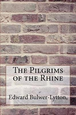 Book cover for The Pilgrims of the Rhine
