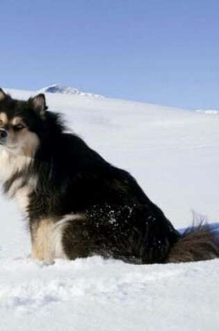 Cover of Finnish Lapphund