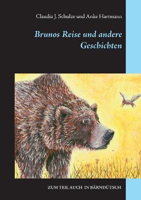 Book cover for Brunos Reise
