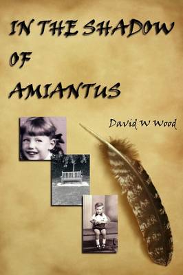 Book cover for In the Shadow of Amiantus