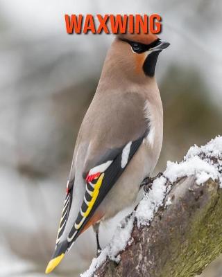 Book cover for Waxwing