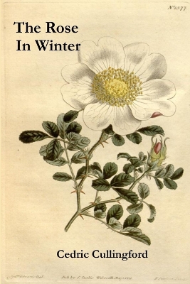 Book cover for The Rose in Winter