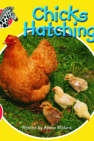 Cover of Spotty Zebra Red Change Chicks Hatching