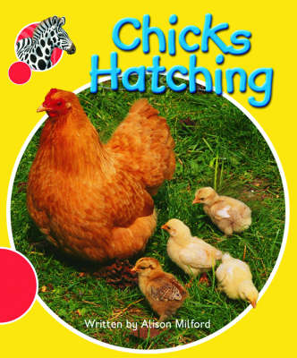 Book cover for Spotty Zebra Red Change Chicks Hatching