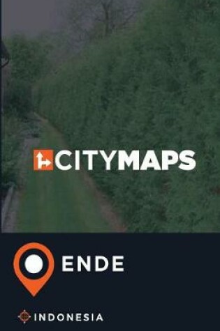 Cover of City Maps Ende Indonesia