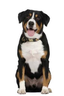 Book cover for The Entlebucher Mountain Dog Journal