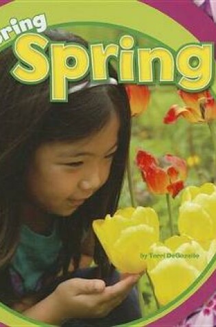 Cover of Exploring Spring