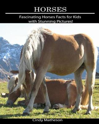 Book cover for Horses