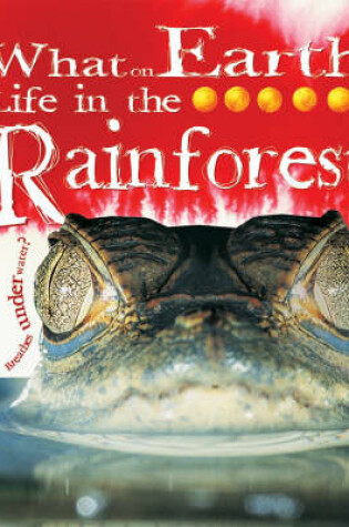 Cover of Life in the Rainforest