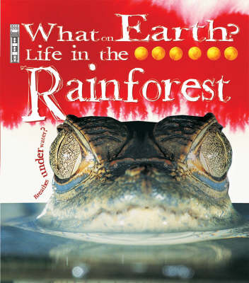 Cover of Life in the Rainforest