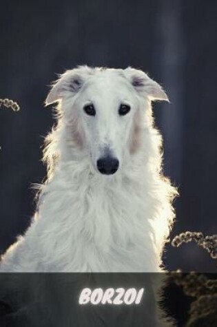 Cover of Borzoi