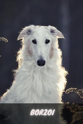 Book cover for Borzoi