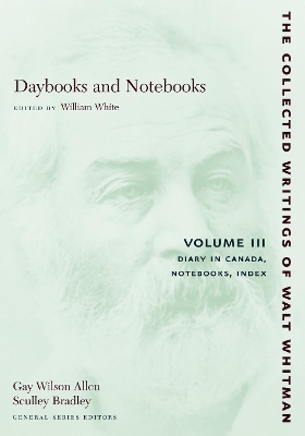 Book cover for Daybooks and Notebooks: Volume III