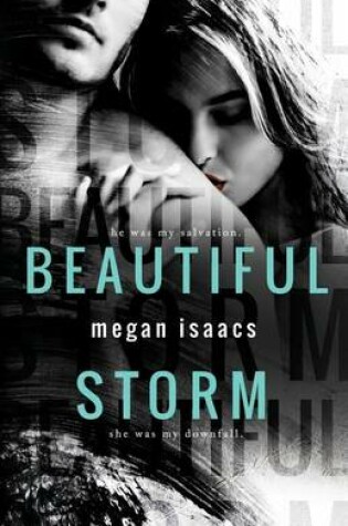 Cover of Beautiful Storm