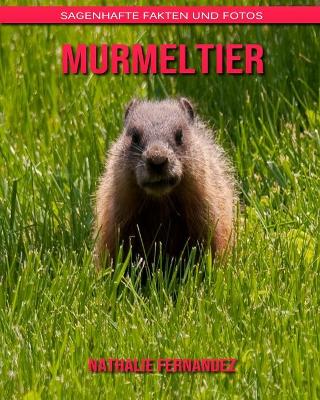 Book cover for Murmeltier