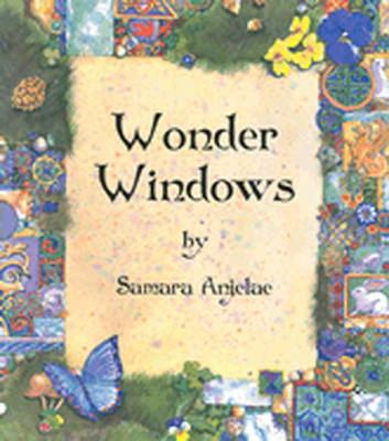Book cover for Wonder Windows Gift Box