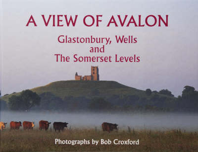 Book cover for A View of Avalon