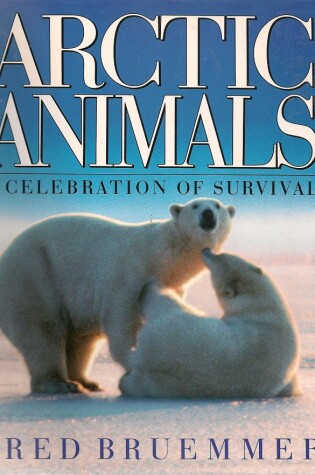 Cover of Arctic Animals