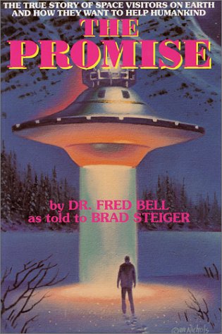 Book cover for The Promise