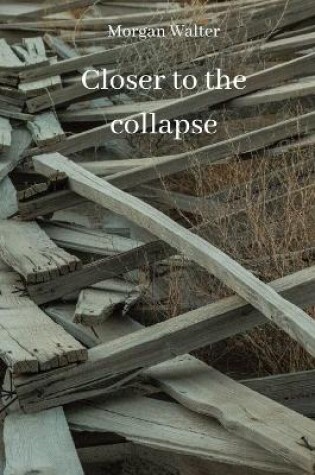 Cover of Closer to the collapse