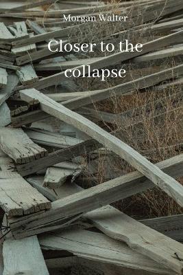 Book cover for Closer to the collapse