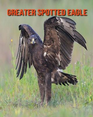 Book cover for Greater Spotted Eagle