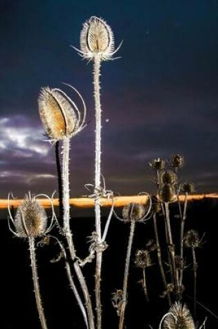 Cover of Thistle Seed Pods Against a Stormy Sky Journal