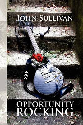 Book cover for Opportunity Rocking