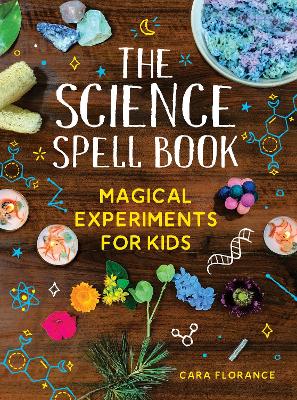 Book cover for The Science Spell Book