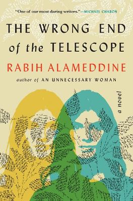 Book cover for The Wrong End of the Telescope