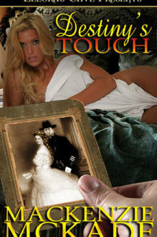 Cover of Destiny's Touch