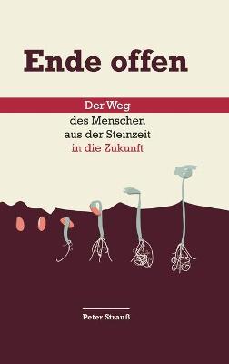 Book cover for Ende offen