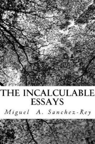 Cover of The Incalculable Essays