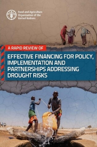 Cover of A rapid review of effective financing for policy, implementation and partnerships addressing drought risks
