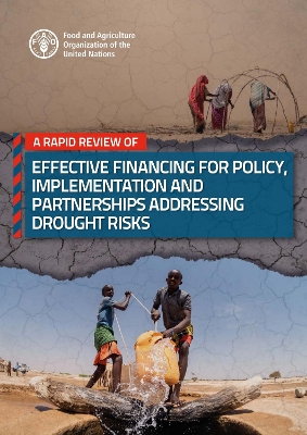 Book cover for A rapid review of effective financing for policy, implementation and partnerships addressing drought risks