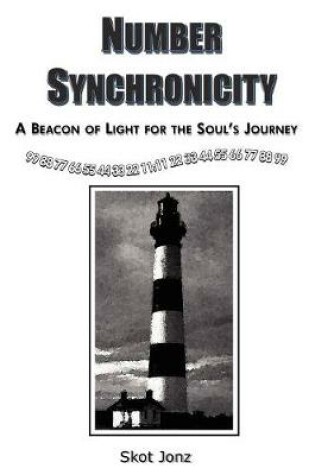 Cover of Number Synchronicity