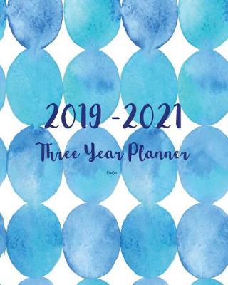 Book cover for 2019-2021 Three Year Planner-Circles